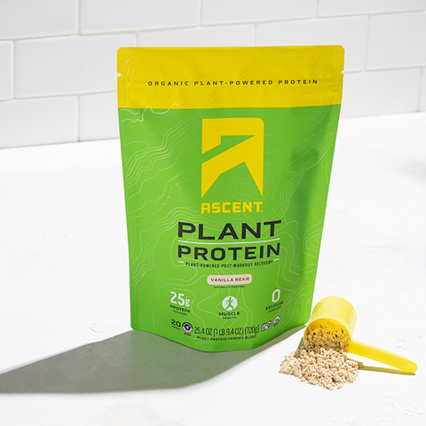 https://www.ascentprotein.com/cdn/shop/products/plant-vanilla-2lb-main_large.png?v=1691100164